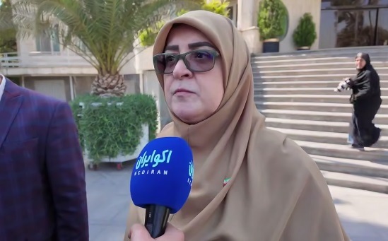 مهاجرانی: درخواست ایران برای نشست با ویتکاف و اروپایی‌ها رد شد