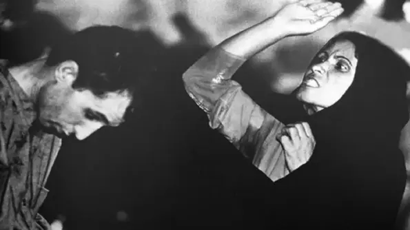 اشتباه «خفاش شب» چه بود؟ اشتباه «خفاش شب» چه بود؟