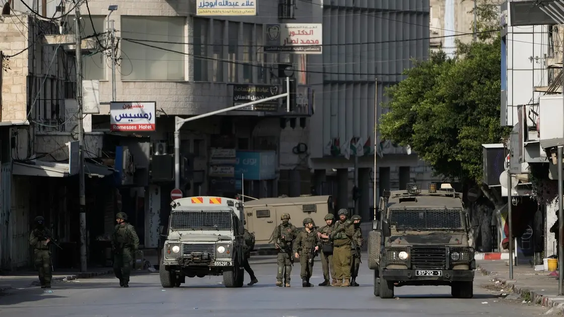 جنگ اسرائیل علیه دام‌ها و درخت‌های زیتون!