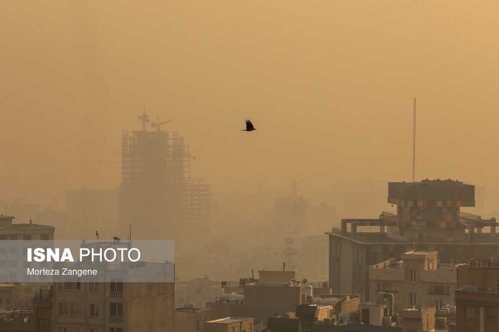 آلودگی، سهم ما از شهر