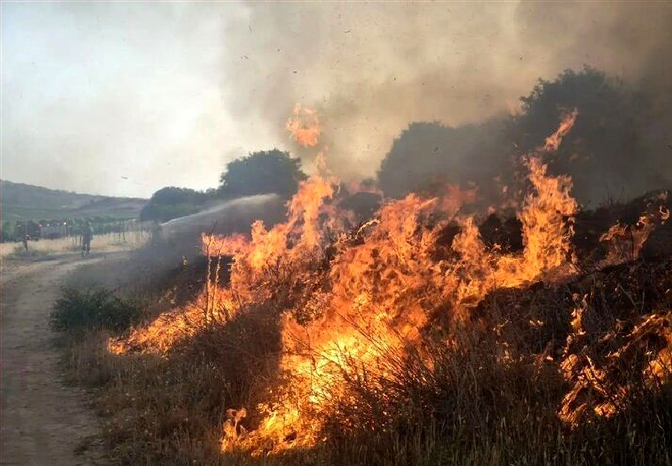 جنگل الیت؛ مهار آتش در شرق و شمال جنگل الیت؛ مهار آتش در شرق و شمال