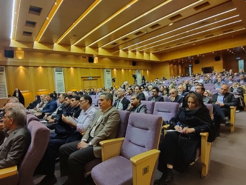 مجتبی مقصودی: انجمن علمی مطالعات صلح، از تأسیس تا گسترش، برای مان بیش از آنکه نشیب باشد، فراز بود