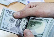 دلار از ورود به کانال ۱۲۹ هزار تومانی بازماند