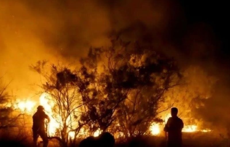 جزئیات عملیات اطفا حریق در الیت