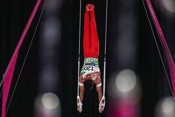 فدراسیون ژیمناستیک پلمب شد