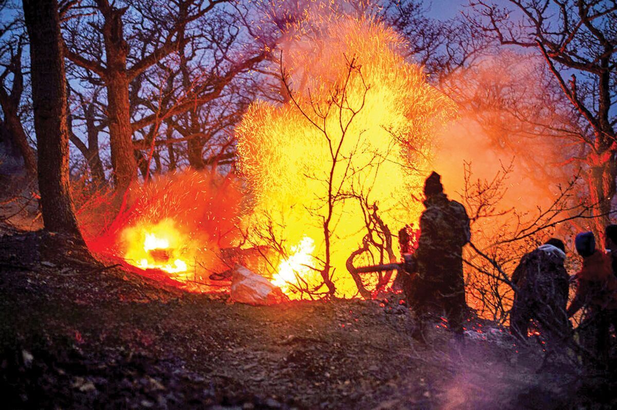 چرا آتش‌سوزی الیت جدی گرفته نشد؟ 