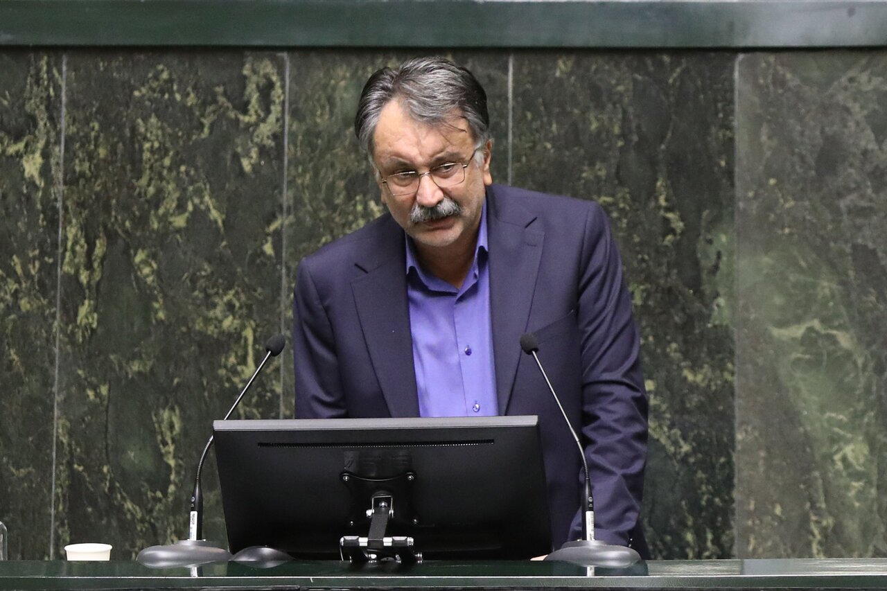 انتقاد یک نماینده از افزایش قیمت‌ها؛ مردم توان خرید گوشت، مرغ و روغن را ندارند