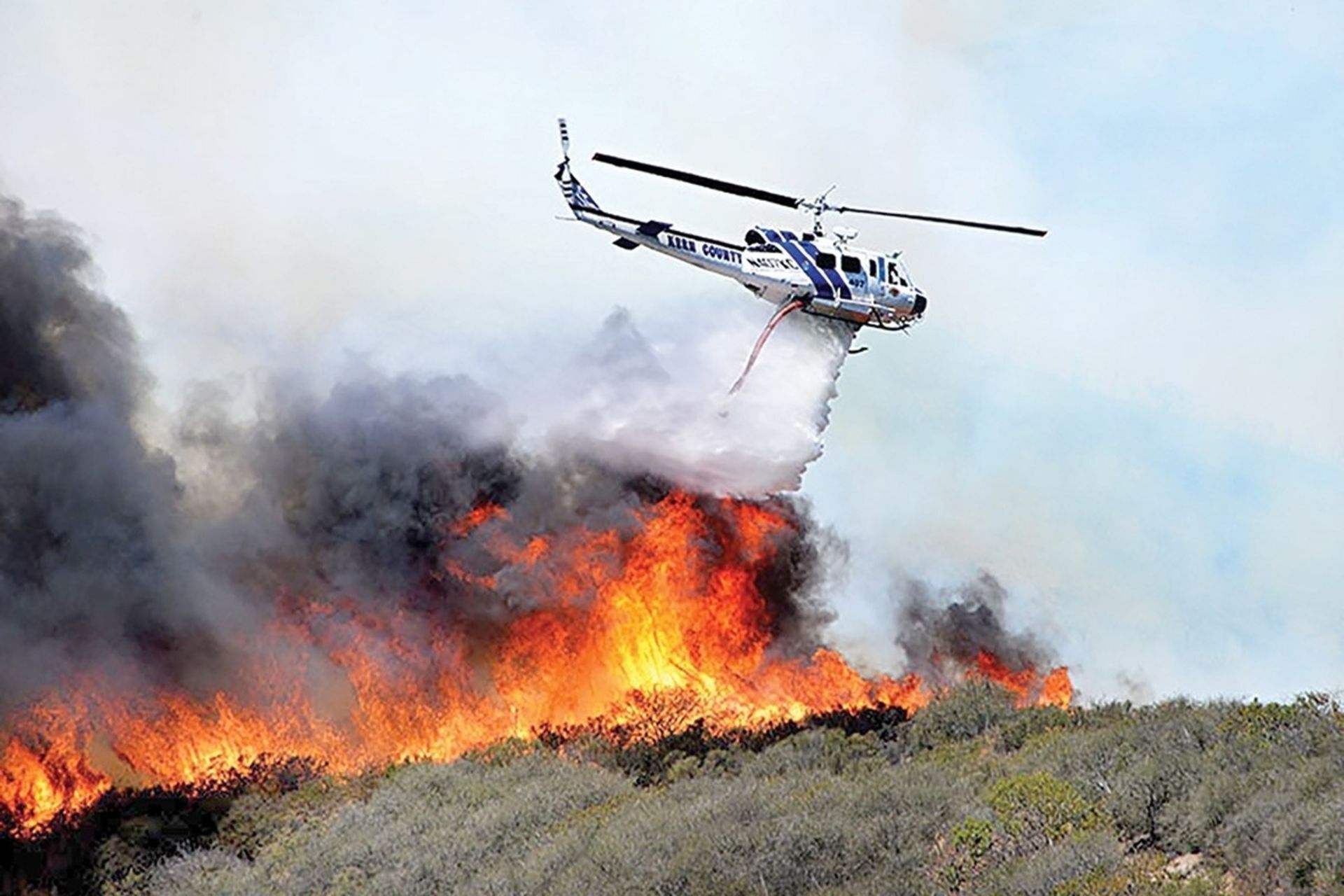 شکارچیان غیرمجاز ‌«الیت» را آتش زدند