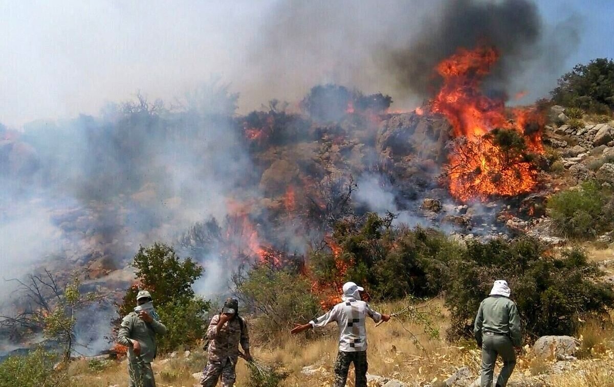 هشدار افزایش آتشسوزی در جنگلها و مراتع هشدار افزایش آتشسوزی در جنگلها و مراتع